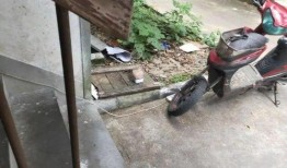 宁波电瓶车爆料事件最新,真相与争议交织的街头冲突